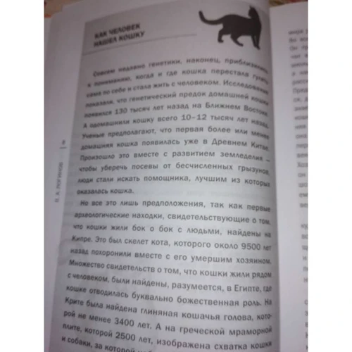 Планета кошек: Жанр Домашние животные