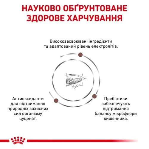 Сухой корм для щенков Royal Canin Gastro Intestinal Junior Canine при нарушениях пищеварения 2.5 кг (39570251): Класс Супер премиум
