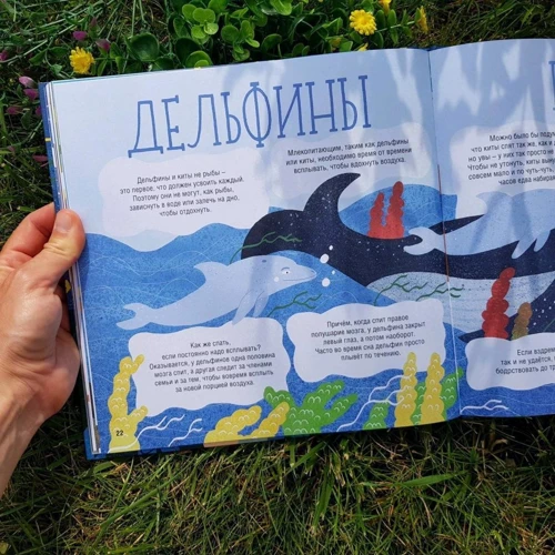 Євгенія Гюнтер: Як сплять звірята?: Обкладинка Твердая