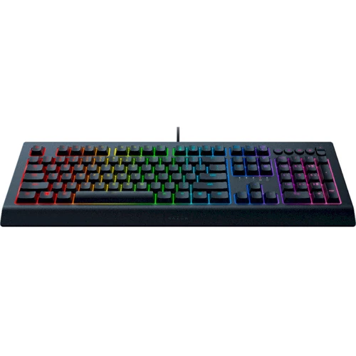 Клавиатура RAZER Cynosa V2, RU (RZ03-03400700-R3R1): Интерфейс подключения USB