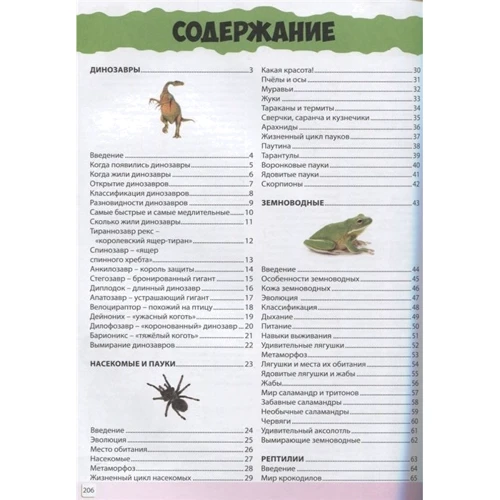 Животные. Энциклопедия для мальчиков и девочек: Обложка Твердая