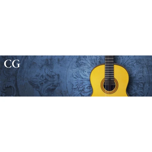 Класична гітара YAMAHA CG192C