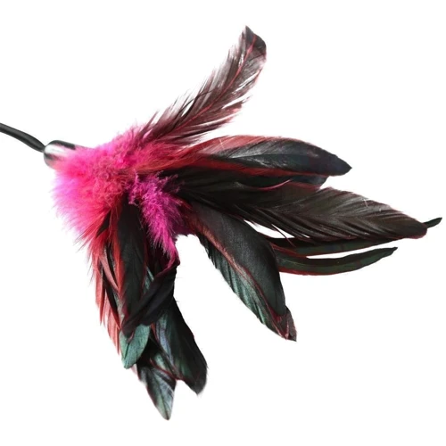 Метелочка Sportsheets - PLEASURE FEATHER ROSE