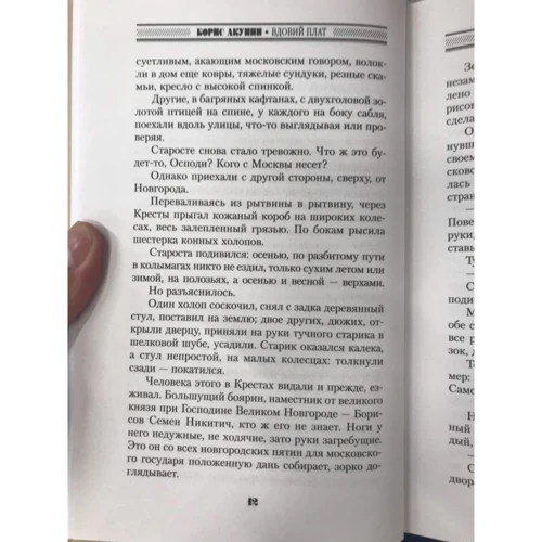 Борис Акунин: Вдовий плат: Количество страниц 352