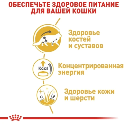 Влажный корм для котов Royal CanIn Maine Coon породы Мейн-кун 85 г (2031001): Порода Индивидуально для породы
