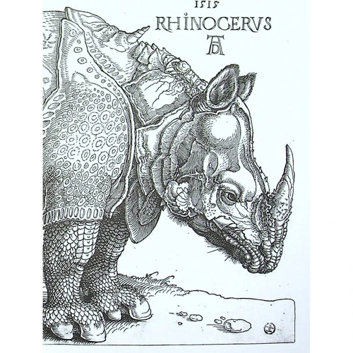 Блокнот: Albrecht Dürer: Обложка Твердая