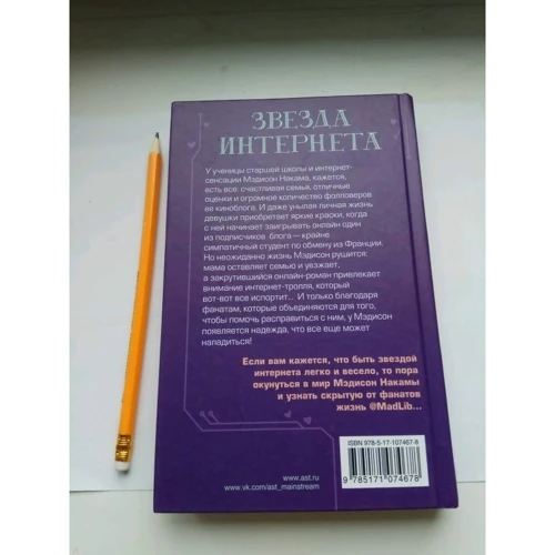 Звезда Интернета: Количество страниц 384