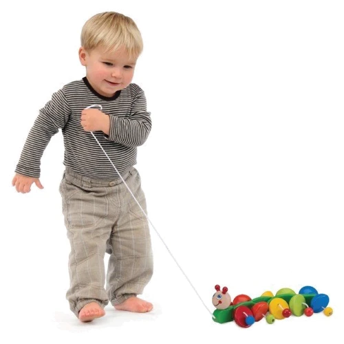 Каталка Wonderworld Веселая гусеница (WW-4000)