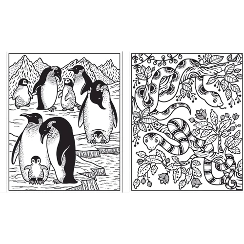 Animals Magic Painting Book / Книга розмальовка Чарівний розпис тварин: Виробник Usborne