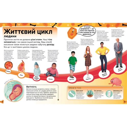 Біпаша Чоудгурі: Фантастичне тіло. Шалена кров, круті кістки, потайні нутрощі та інші дивовижі: Обкладинка Твердая