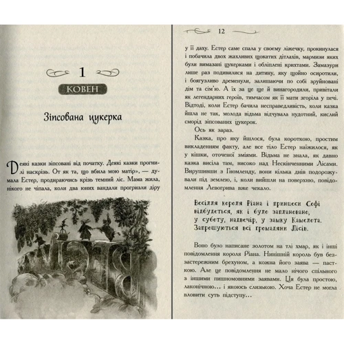 Зоман Чейнані: Школа добра та зла. Єдиний правдивий король. Книга 6: Виробник Ранок