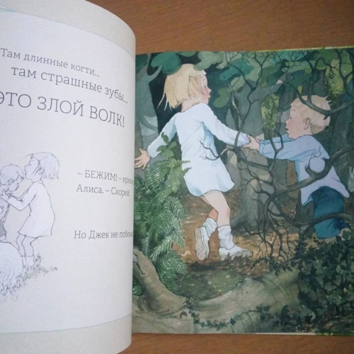 Тімоті Напман: Бродить сон по м'яким травам: Обкладинка Тверда