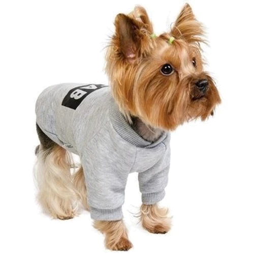 Толстовка Pet Fashion #ГАВ XS меланж (4823082415823): Размер животного Маленькие