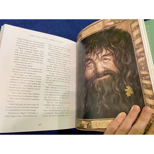 Joanne Rowling: Harry Potter і Chamber of Secrets: Кількість сторінок 262