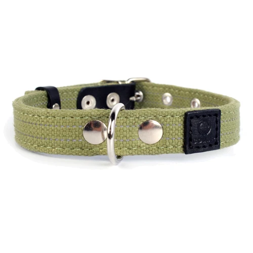 Нашийник Collar х / б тасьма, подвійний ш 25мм, д 41-53см: Колір зелений