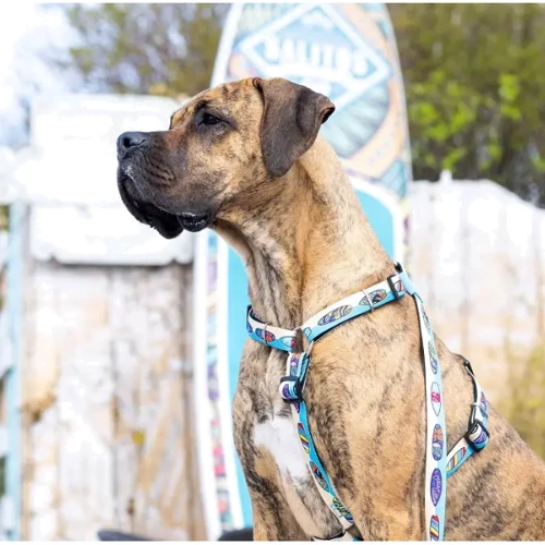 Поводок для собак Max&Molly Short Leash - Aloha L (4894512050686): Длина 1.2