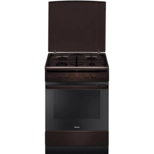 Газовая плита Hansa FCGB61001