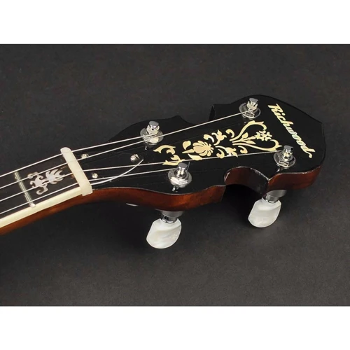 Банджо Richwood RMB-904
