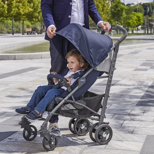 Прогулочная коляска Lite Way 3 Top Pied Poule (79599.35): Количество блоков 1