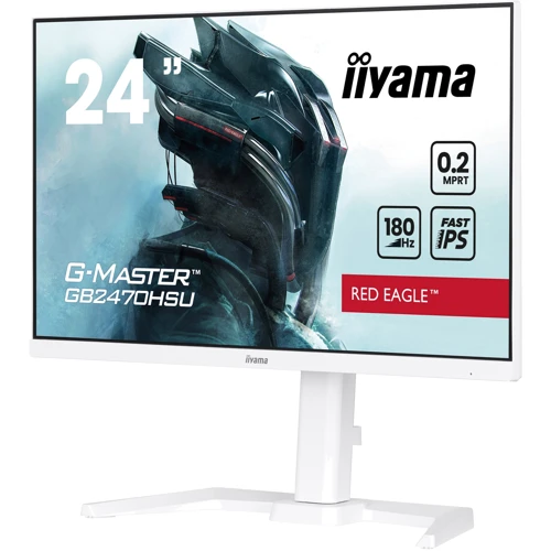Монитор iiyama GB2470HSU-W6: Разрешение 1920x1080