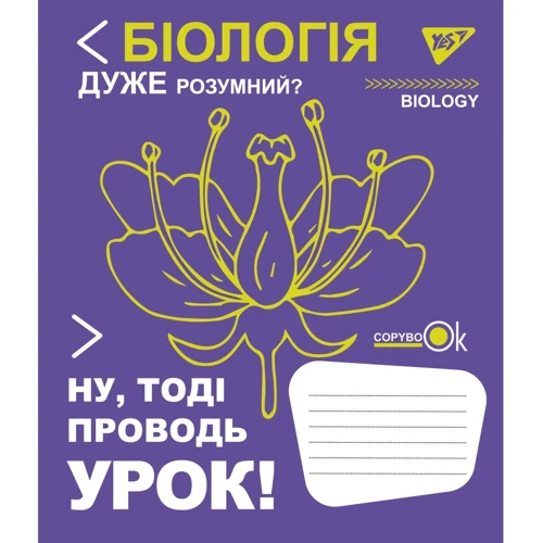 Набір зошитів для записів Yes Fun school subjects А5/48 (765717): Лініювання Клетка