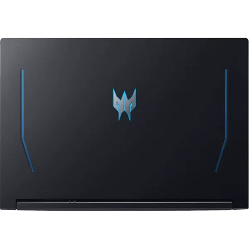 Ноутбук Acer Predator Helios 300 PH317-55-55W9 (NH.QB6EX.001): Оперативная память 32 ГБ