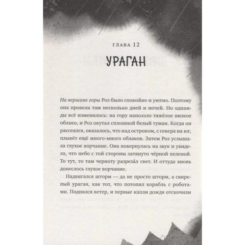 Питер Браун: Дикий робот: Количество страниц 288