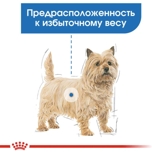 Вологий корм Royal Canin Light Weight Care Adult для собак для собак різних розмірів, схильних до надмірної ваги 85 г (11780019): Клас Супер премиум