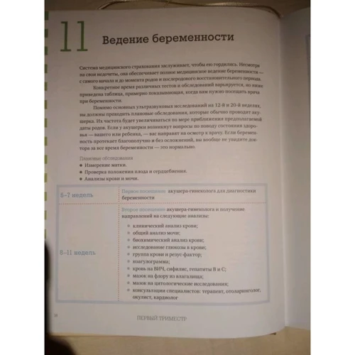 Кьяра Хант, Марина Фогль: Я буду мамой. Гид по беременности, родам и первым месяцам жизни малыша: Производитель Манн, Иванов и Фербер