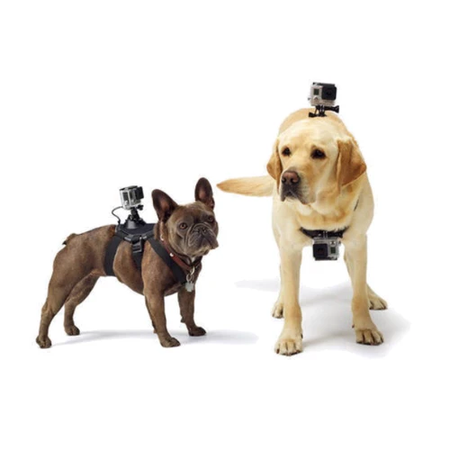 Xiaomi Pet Mount Large Yi Sport Black фото 2