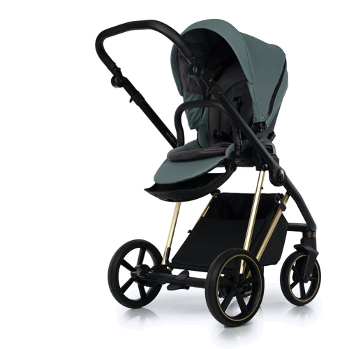 Универсальная коляска 2 в 1 Roan Ivi Pine Green Gold (R-I-PG): Тип коляски Универсальная коляска (2-в-1)