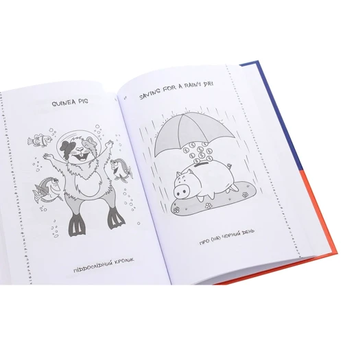 Visual English-Ukrainian Idioms Handbook. Візуалізований англійсько-український довідник фразеологізмів: Виробник Основа