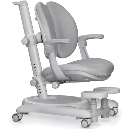 Дитячий стіл Mealux Ortoback Duo Plus Grey (Y-510 G Plus)