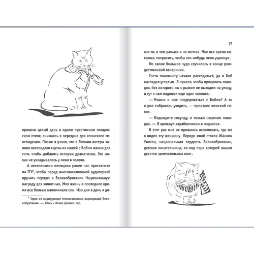 Джеймс Боуэн: Подарок от кота Боба. Как уличный кот помог человеку полюбить Рождество: Автор Джеймс Боуэн