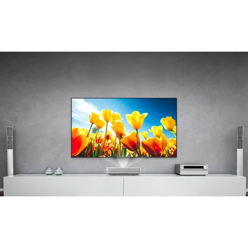 Проектор HP BP5000 Plus (2U5Z7AA)