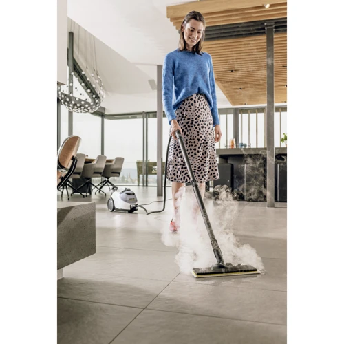 Пароочиститель Karcher SC 5 EasyFix Iron (1.512-661.0): Тип Ручной