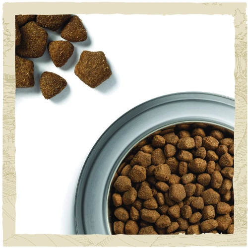 Сухой корм Dog Chow Adult 1+ для взрослых собак с ягненком 2.5кг (12493231): Порода Все породы