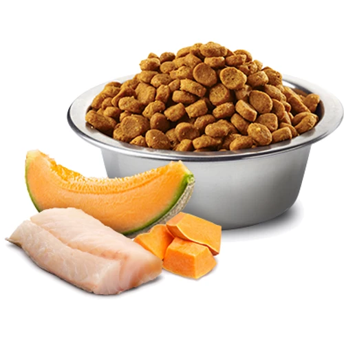 Беззерновой сухой корм Farmina N&D Grain Free Ocean Pumpkin & Cantaloupe Melon Puppy Mini для щенков мелких пород с треской и дыней 2.5 кг (173?413): Тип Сухой корм