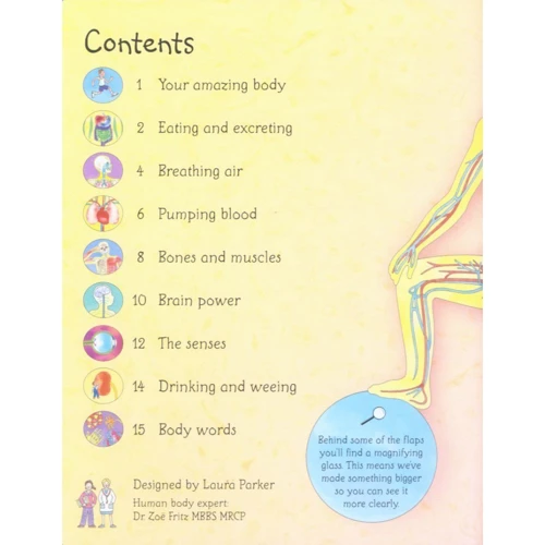 See inside: Your Body: Количество страниц 16