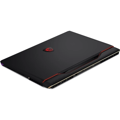 Ноутбук MSI Raider GE68HX 13VI-202 (RAIDERGE6813202): Оперативная память 32 ГБ
