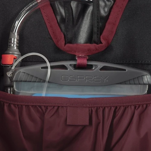 Рюкзак туристический Рюкзак Osprey Archeon 45 Wms Mud Red WM/L красный (009.001.0020) фото 8