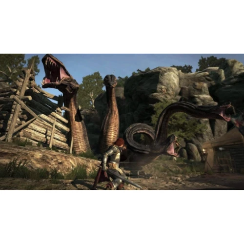 Dragon's Dogma Dark Arisen (PS4): Жанр Экшн