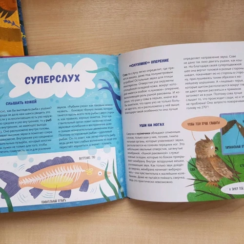Євгенія Гюнтер: Суперзвірята: Кількість сторінок 48