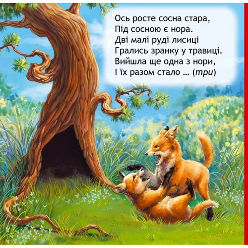 Василь Федієнко: Яка цифра сховайся?: Кількість сторінок 10