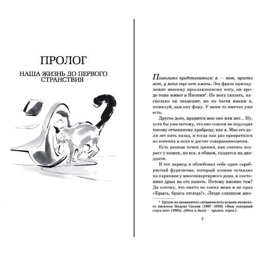 Хіро Арікава: Хроніки мандрівного кота: Автор Хіро Арікава
