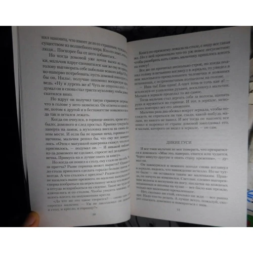 Сельма Лагерлеф. Дивовижна подорож Нільса Хольгерссона з дикими гусьми по Швеції: Виробник Абетка