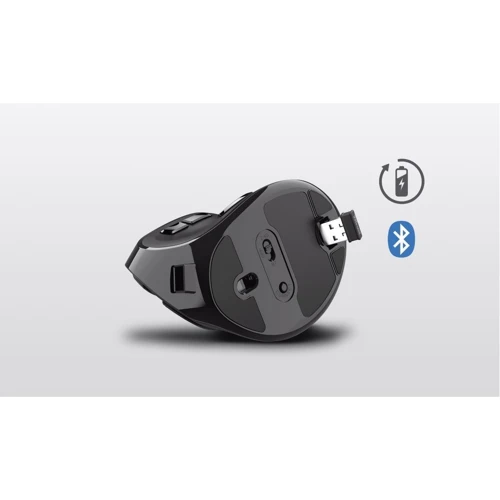 Мышь Trust Voxx Rechargeable Ergonomic Wireless Mouse (23731): Интерфейс подключения Bluetooth, Wireless