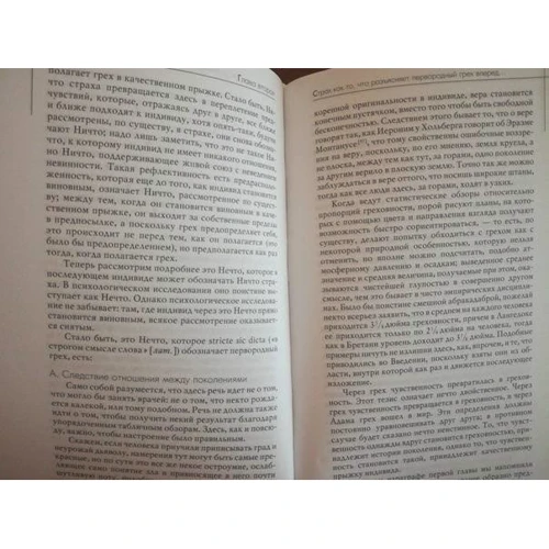 Серен Кьеркегор: Понятие страха: Количество страниц 217