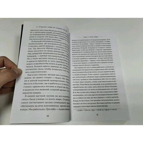 Стейсі О`Брайен: Сова на ім'я Уеслі. Історія кохання сови і людини: Кількість сторінок 336