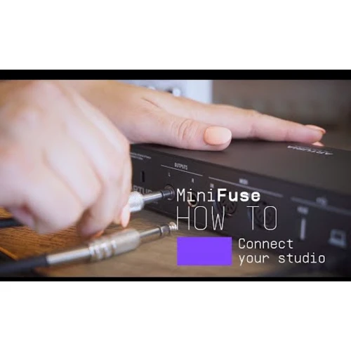 Аудиоинтерфейс Arturia MiniFuse 4 (Black): Тип Внешние